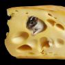 Maasdam - çeşitli yemekler için peynir